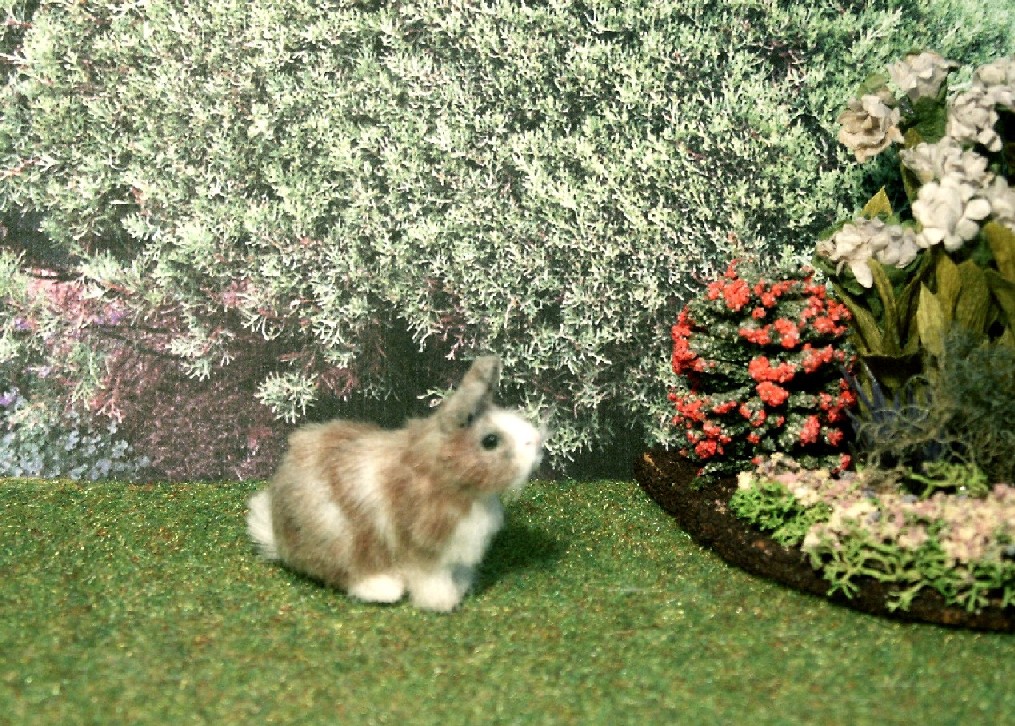 dolls house rabbit