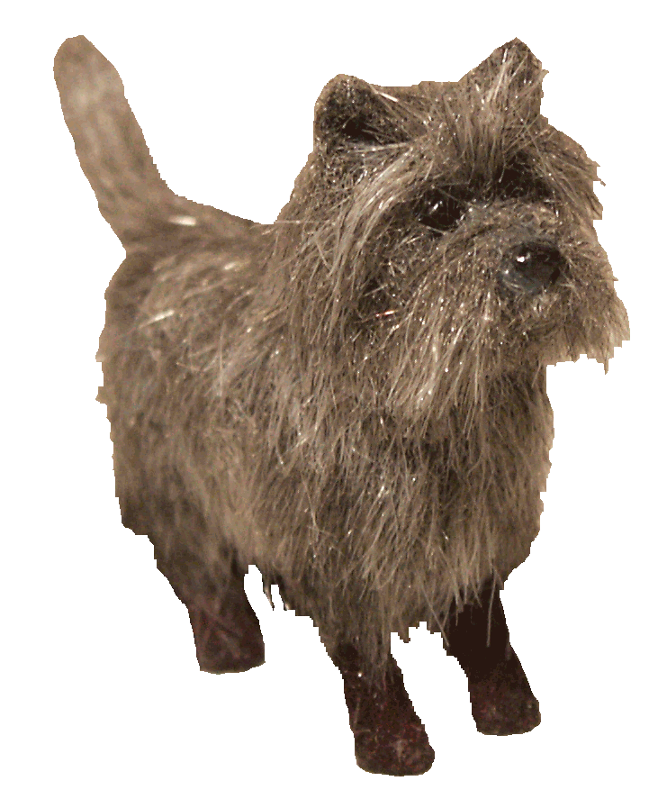 Norwich Terrier for the dolls house