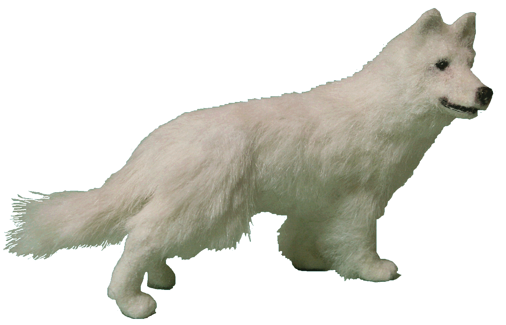 White furred GSD for the dolls house