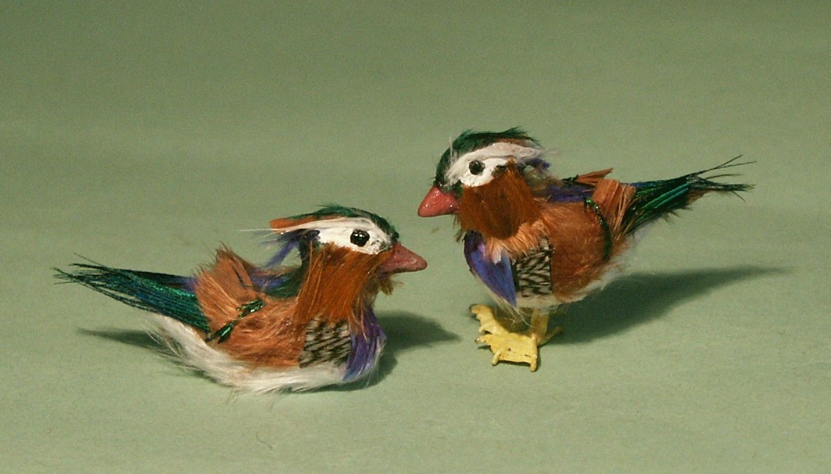Dolls house birds