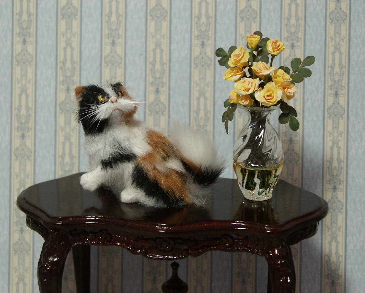 Dolls house cat