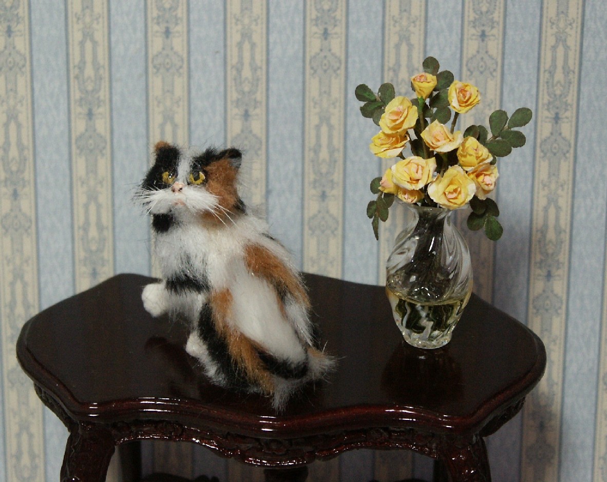 Dolls house cat
