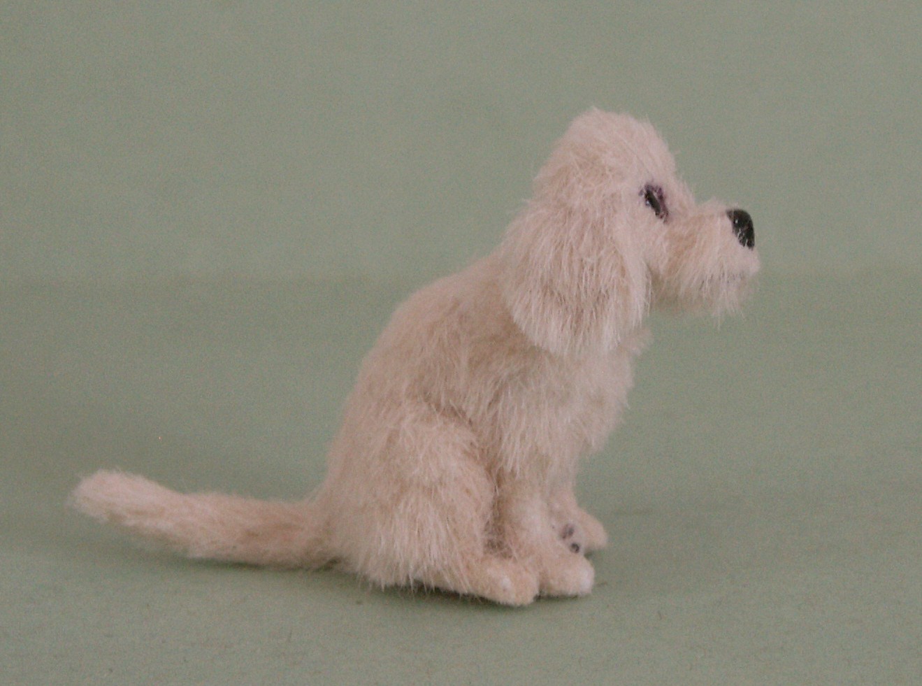 Dolls house dog cockapoo