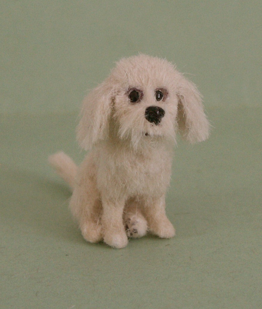 Dolls house dog cockapoo
