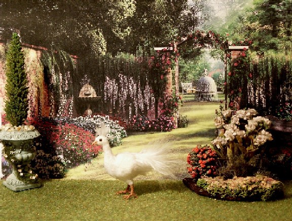 Dolls house feathered peahen (peacock)