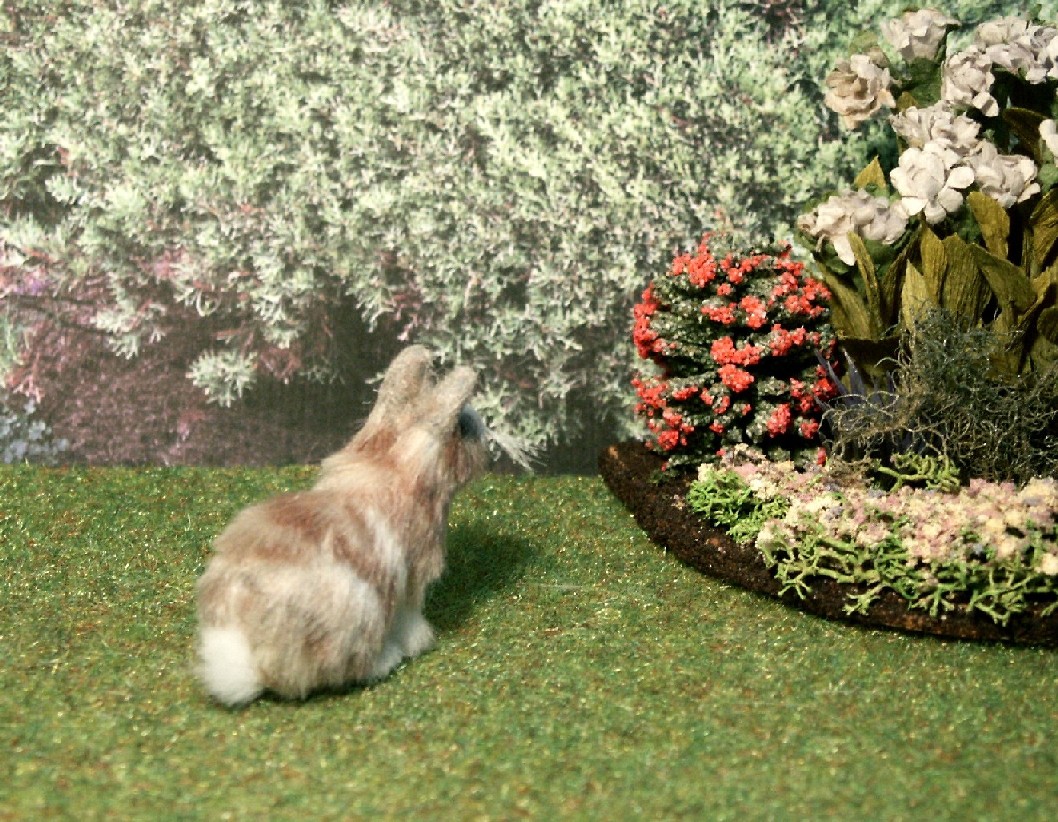 dolls house rabbit