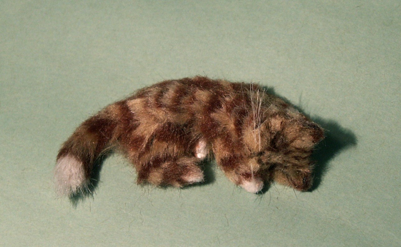 dolls house tabby cat