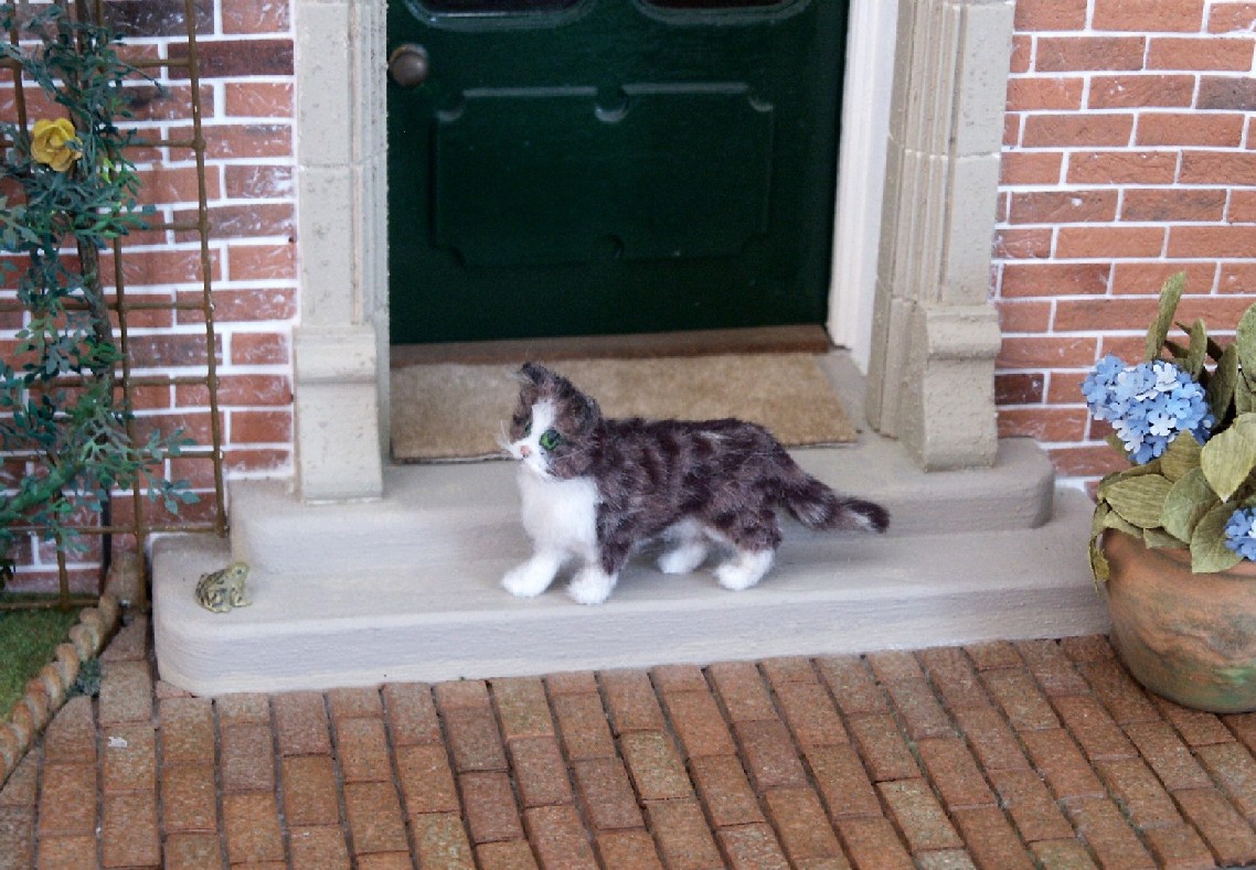 Dolls house cat