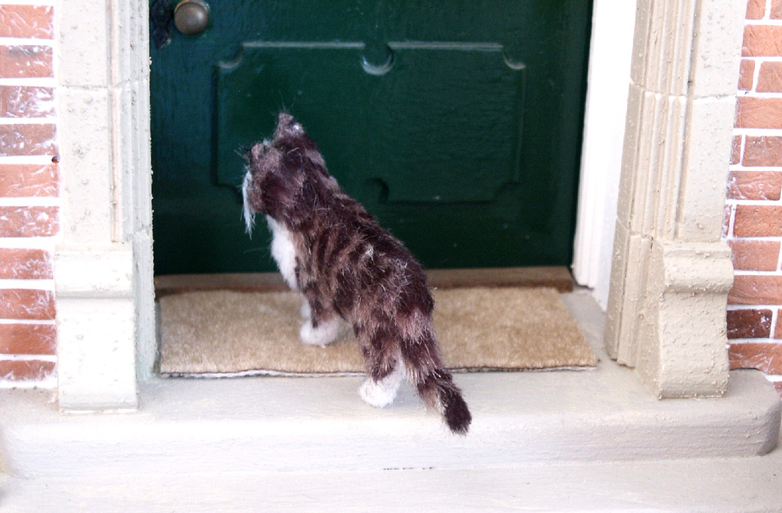 Dolls house cat