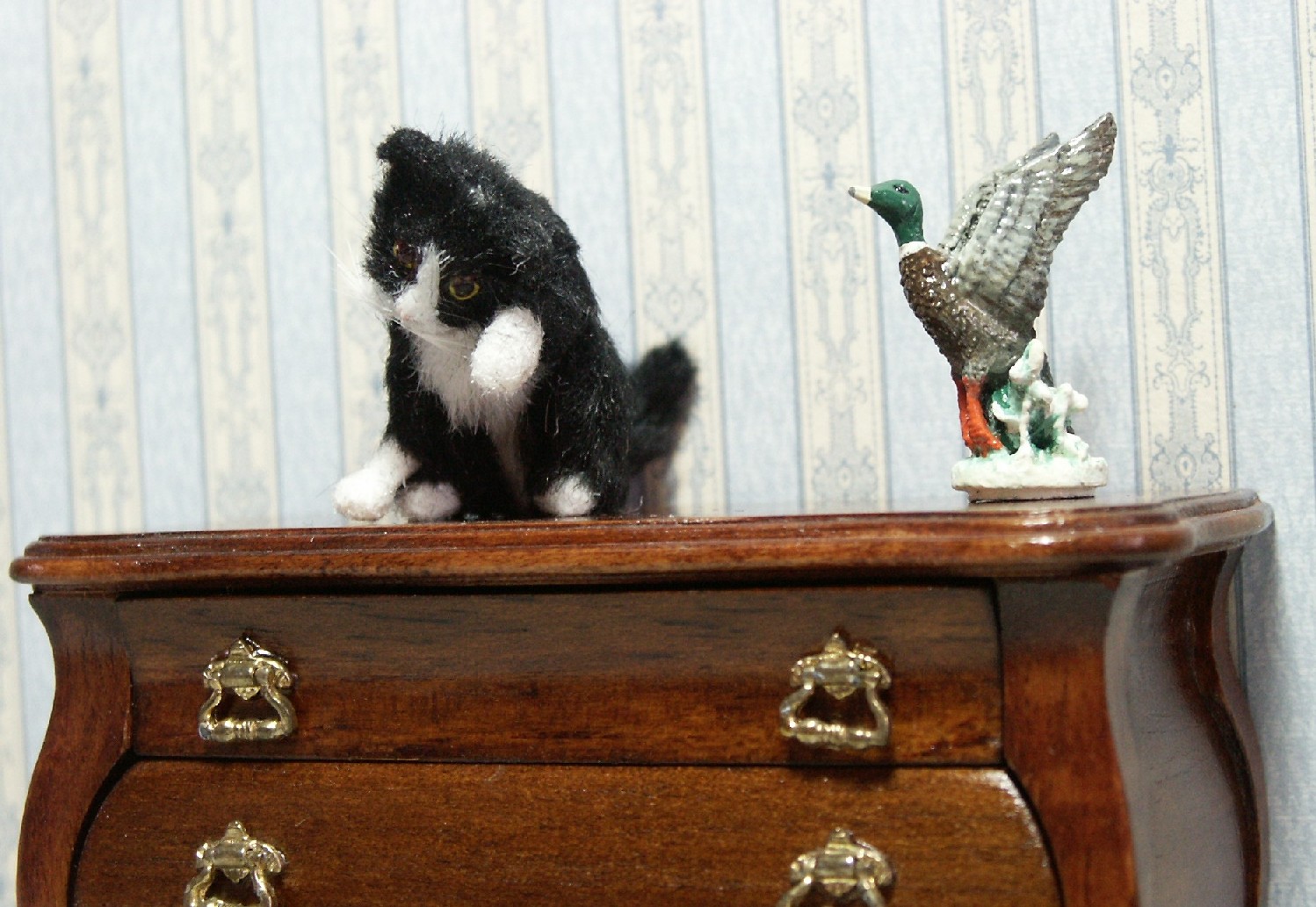 Dolls house cat