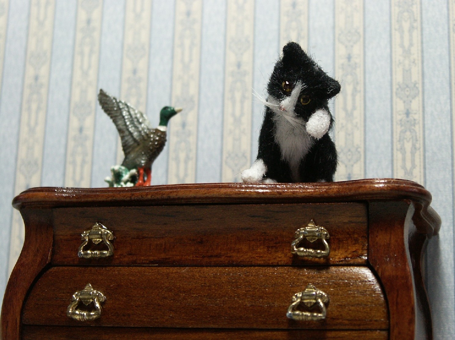Dolls house cat