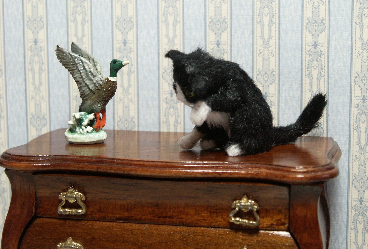 Dolls house cat