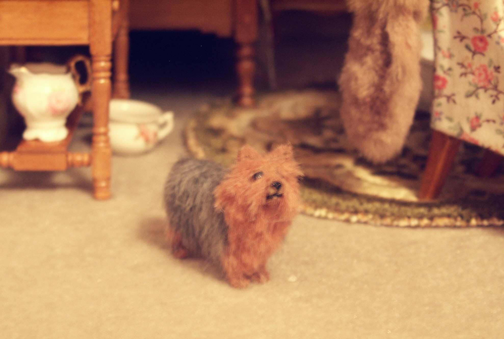 Dolls house dog yorkie