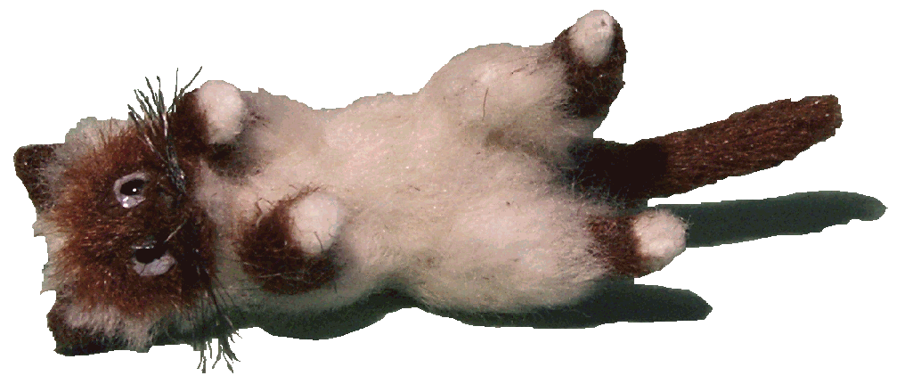 Birman cat for the dolls house