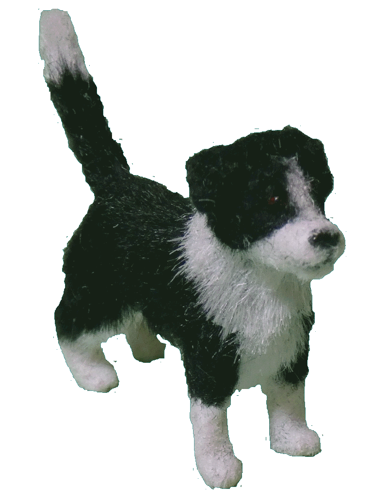 Border Collier puppy for the dolls house