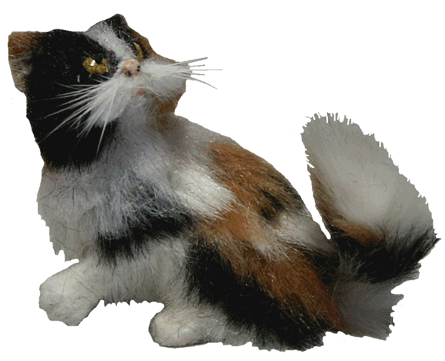 Dolls house cat
