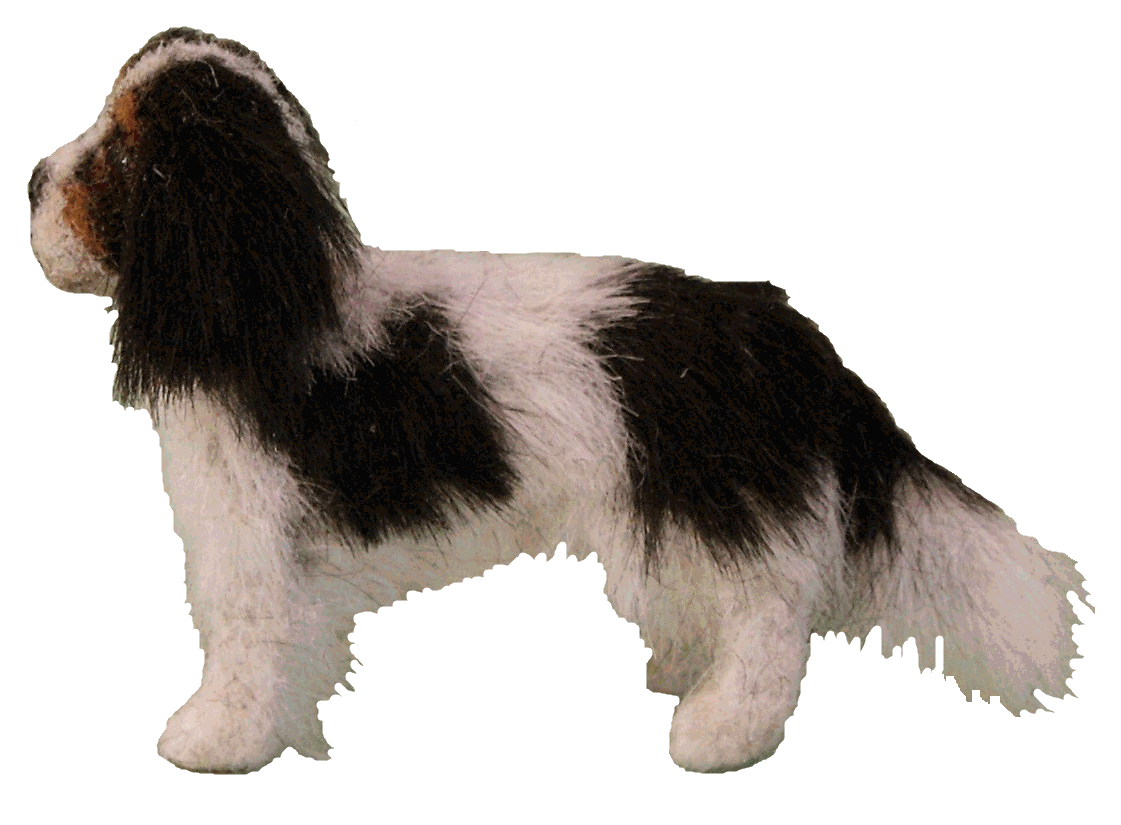 Cavalier King Charles Spaniel for the dolls house