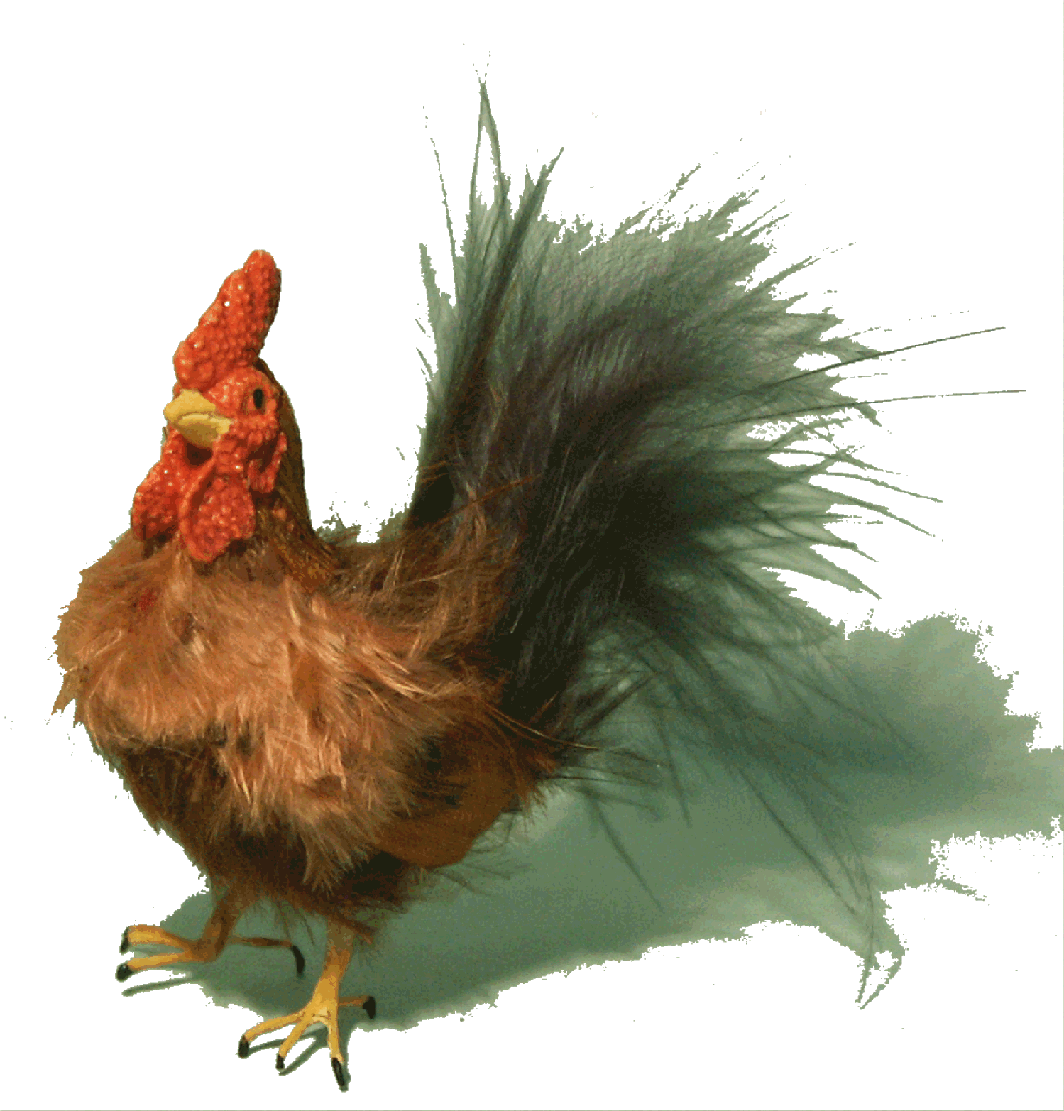 Dolls house chicken