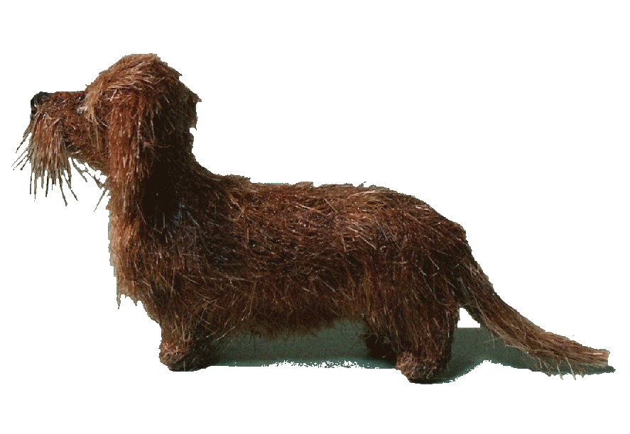 Dolls house wire haired dachshund