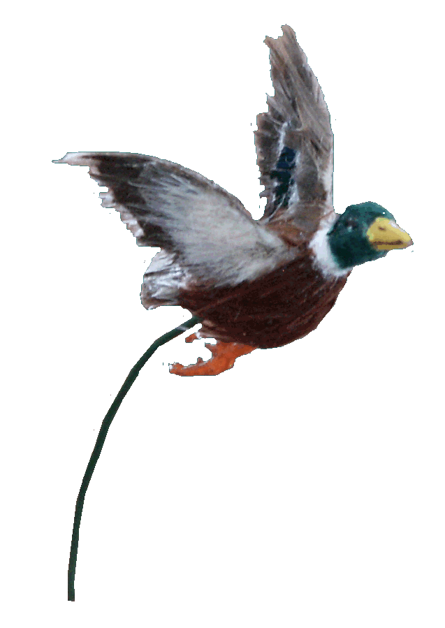 Duck for the dolls house