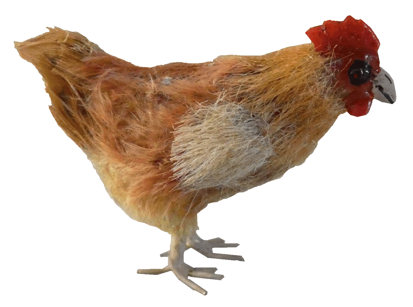Chicken for the dolls house