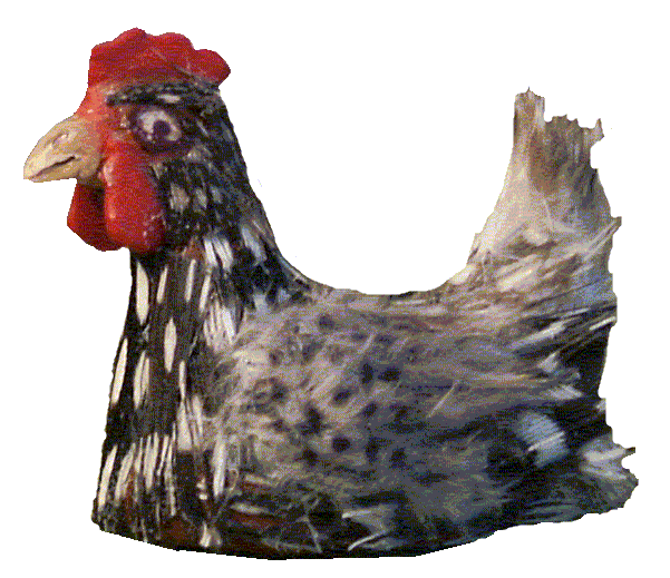 Chicken for the dolls house