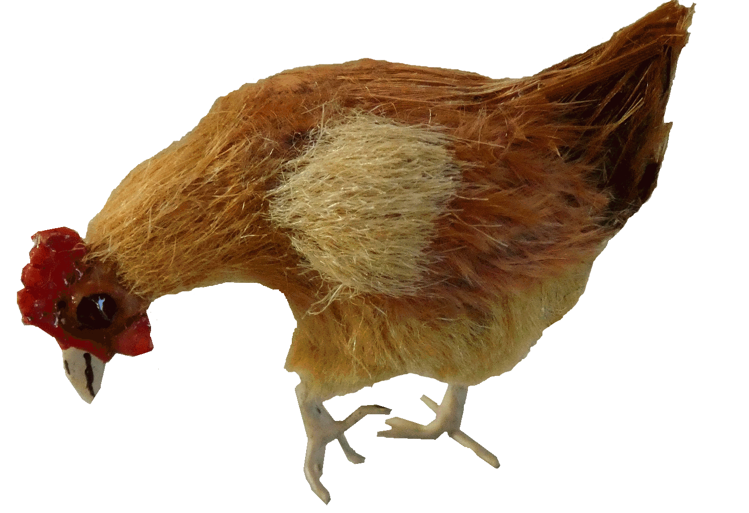 Dolls house chicken