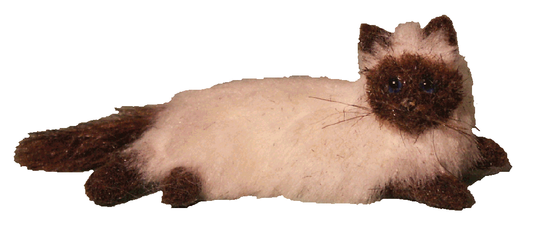 Dolls house colourpoint cat