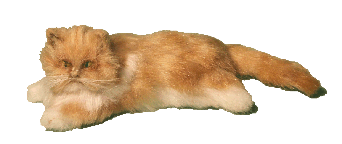 Dolls house ginger and white cat