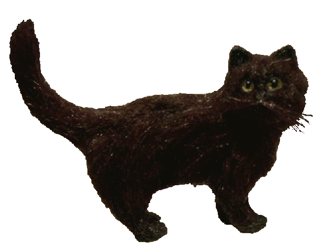 Dolls house black cat