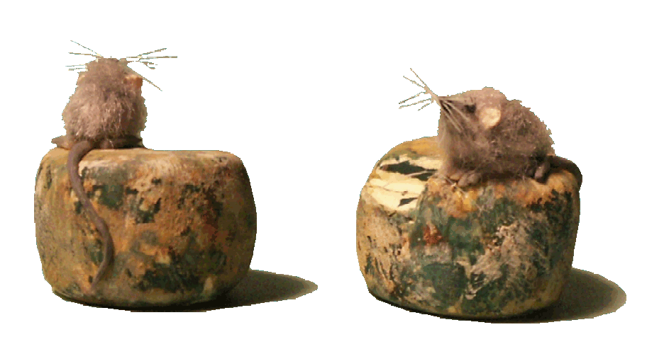 Mouse for the dolls house