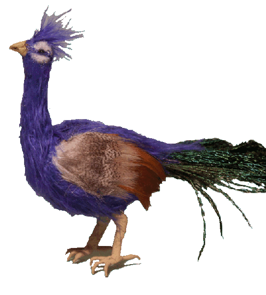 Peacock for the dolls house
