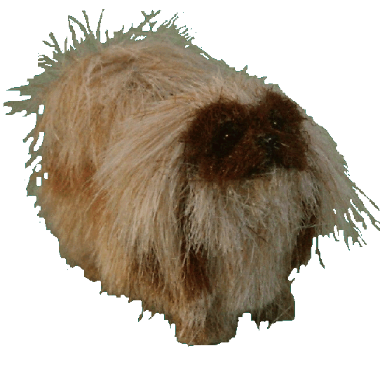 Pekingese for the dolls house
