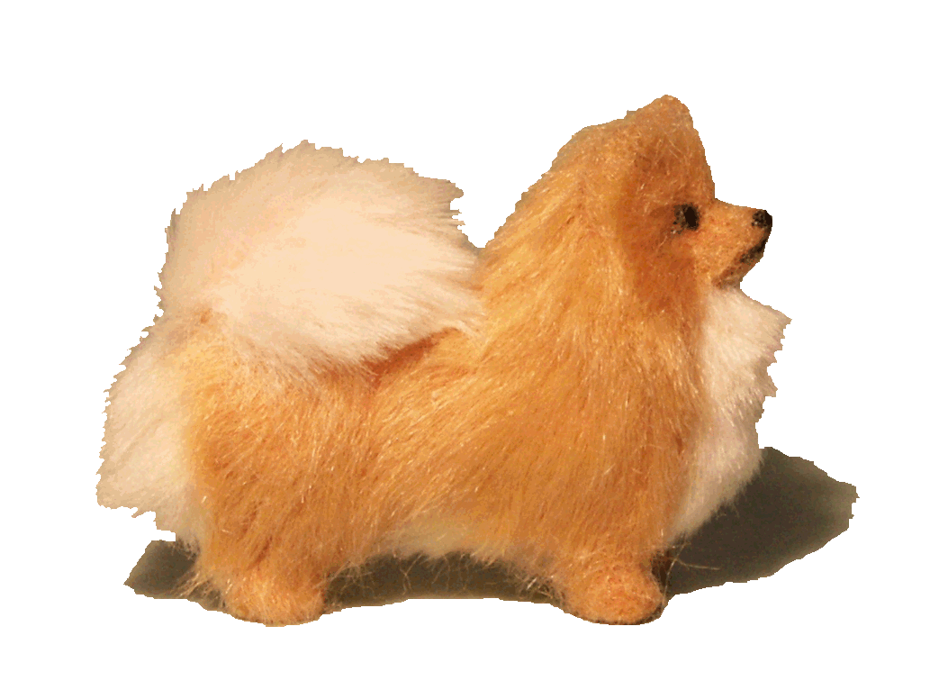 Pomeranian for the dolls house