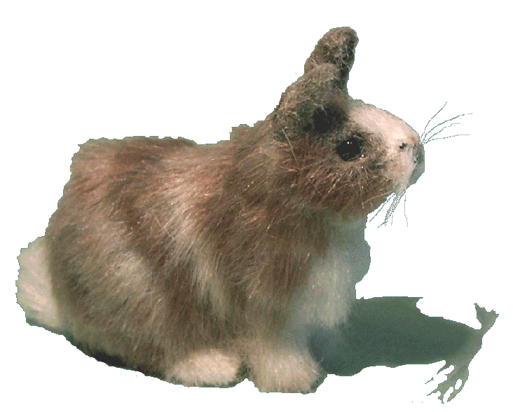 dolls house rabbit