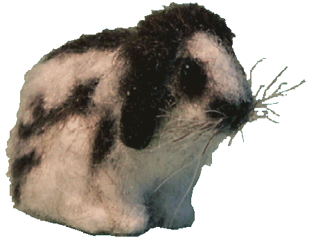 Rabbit for the dolls house