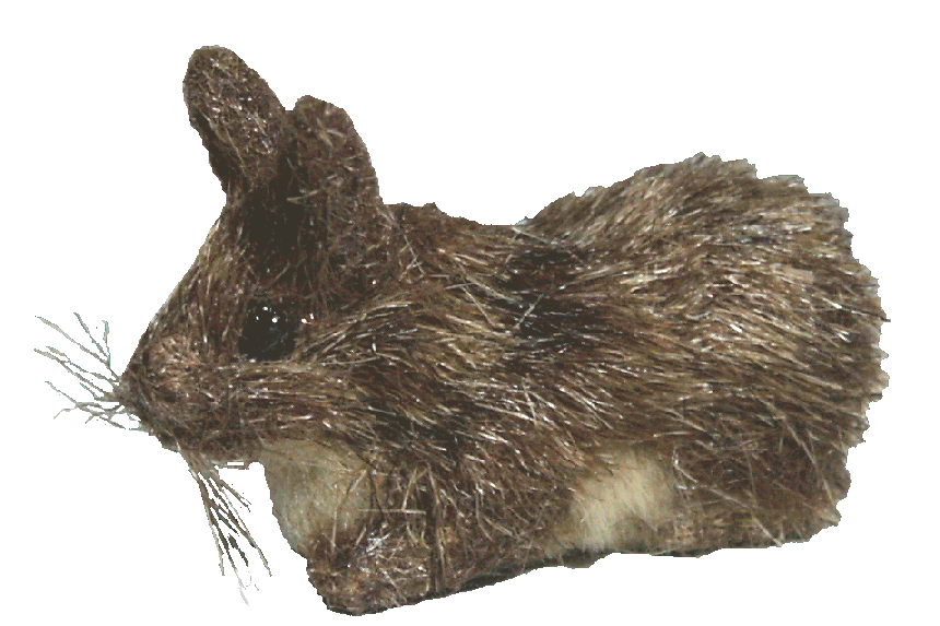 Dolls house rabbit