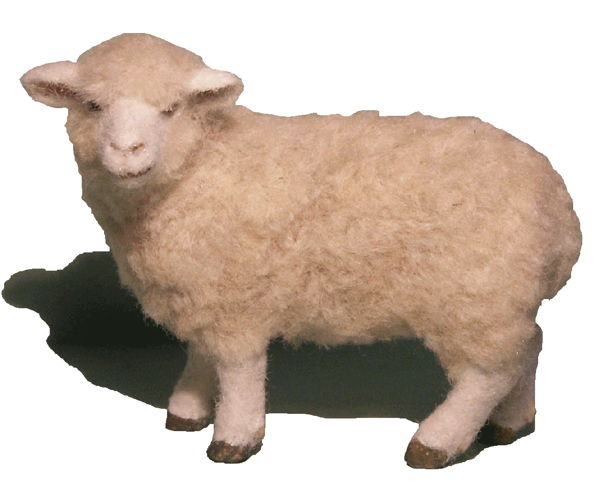 Dolls house sheep