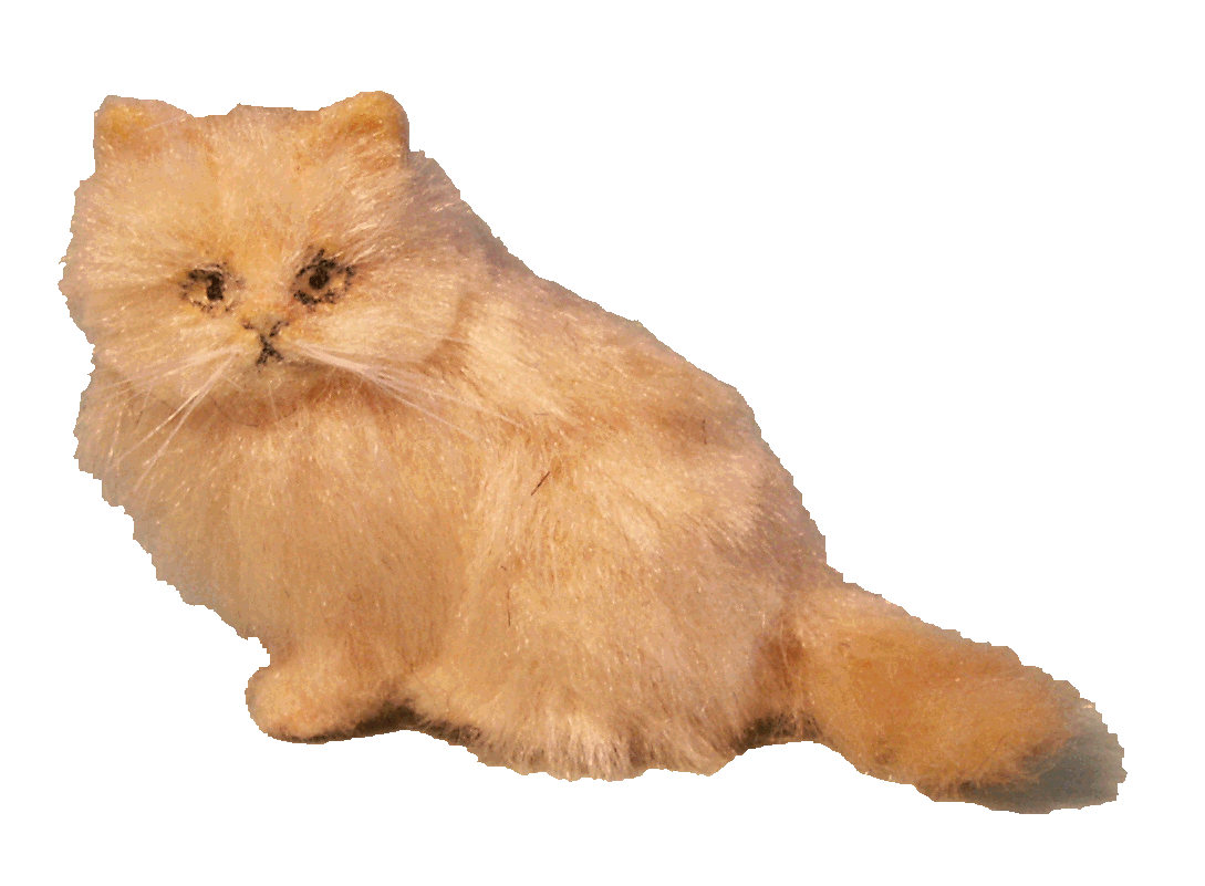 Dolls house Persian cat