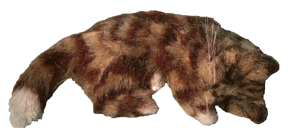 Dolls house tabby cat