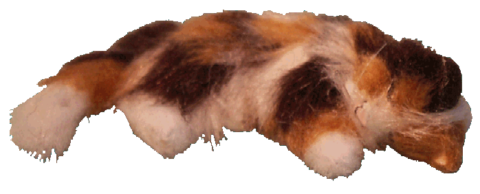 Dolls house calico cat