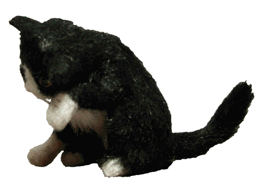 Dolls house cat