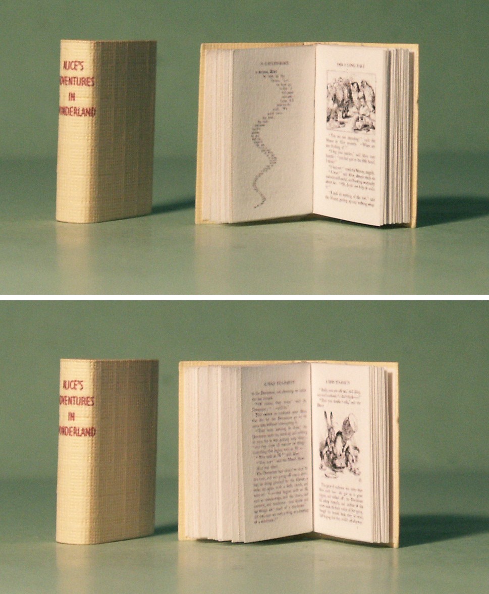Alice in Wonderland