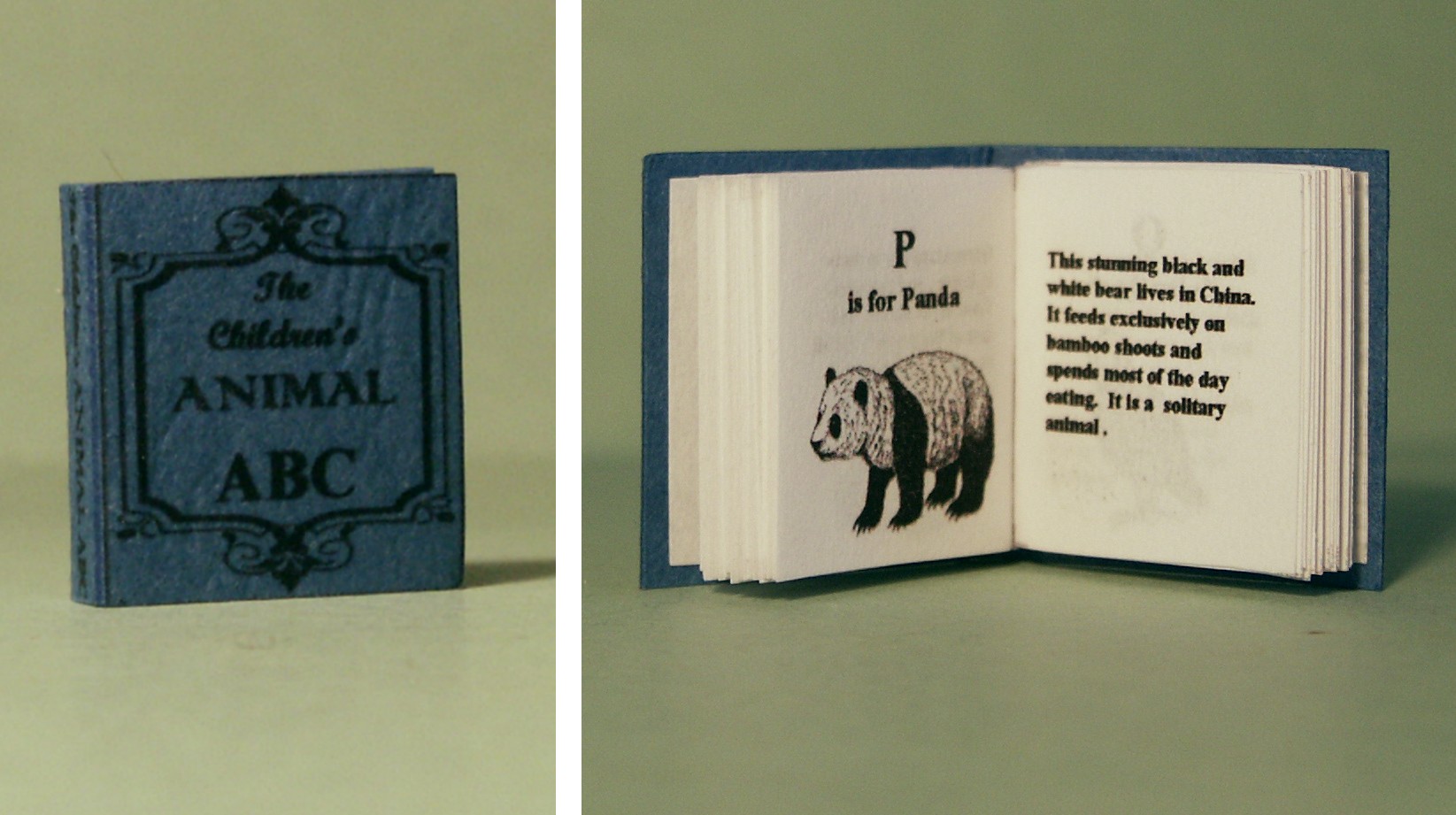 Children's Animal ABC