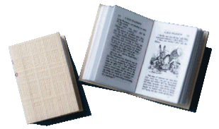 Book for the dolls house - Alice in Wonderland
