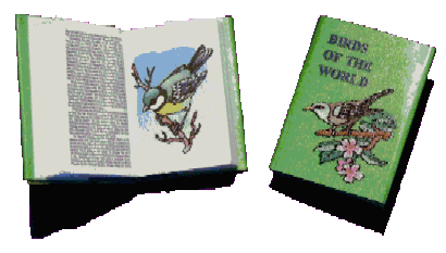 Book for the dolls house - Birds