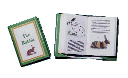 Book for the dolls house - Rabbits