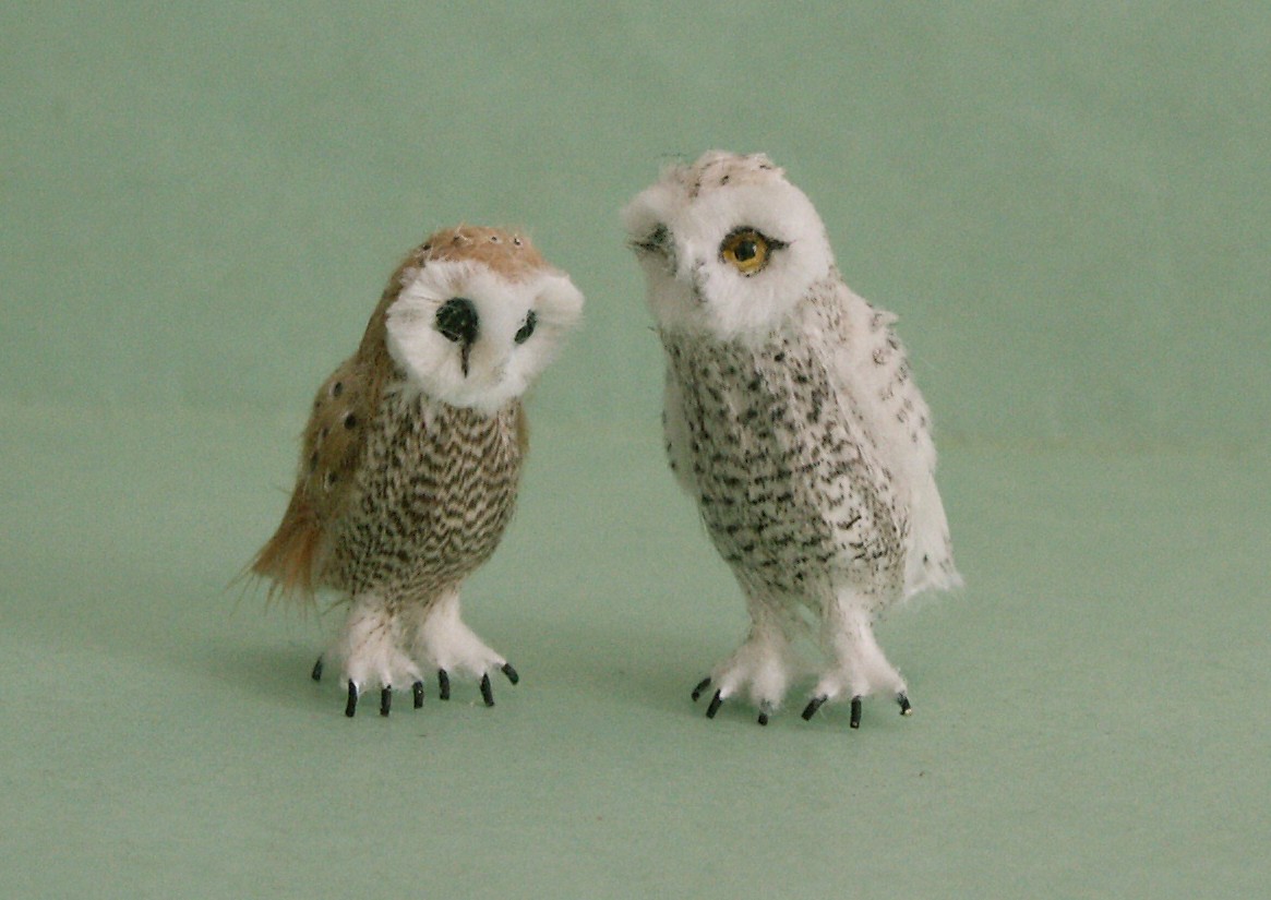 Dolls house owls