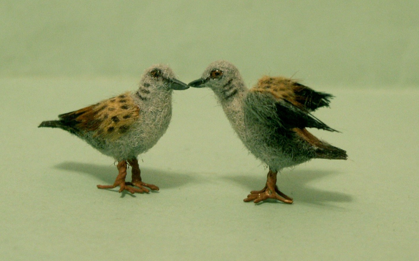 Dolls house birds