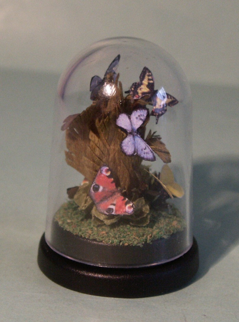 Dolls house butterflies